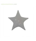 COJIN ESTRELLA STONE WASH DREAM GRIS