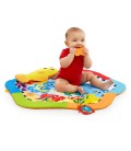Gimnasio Reef Baby Einstein