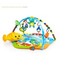 Gimnasio Reef Baby Einstein